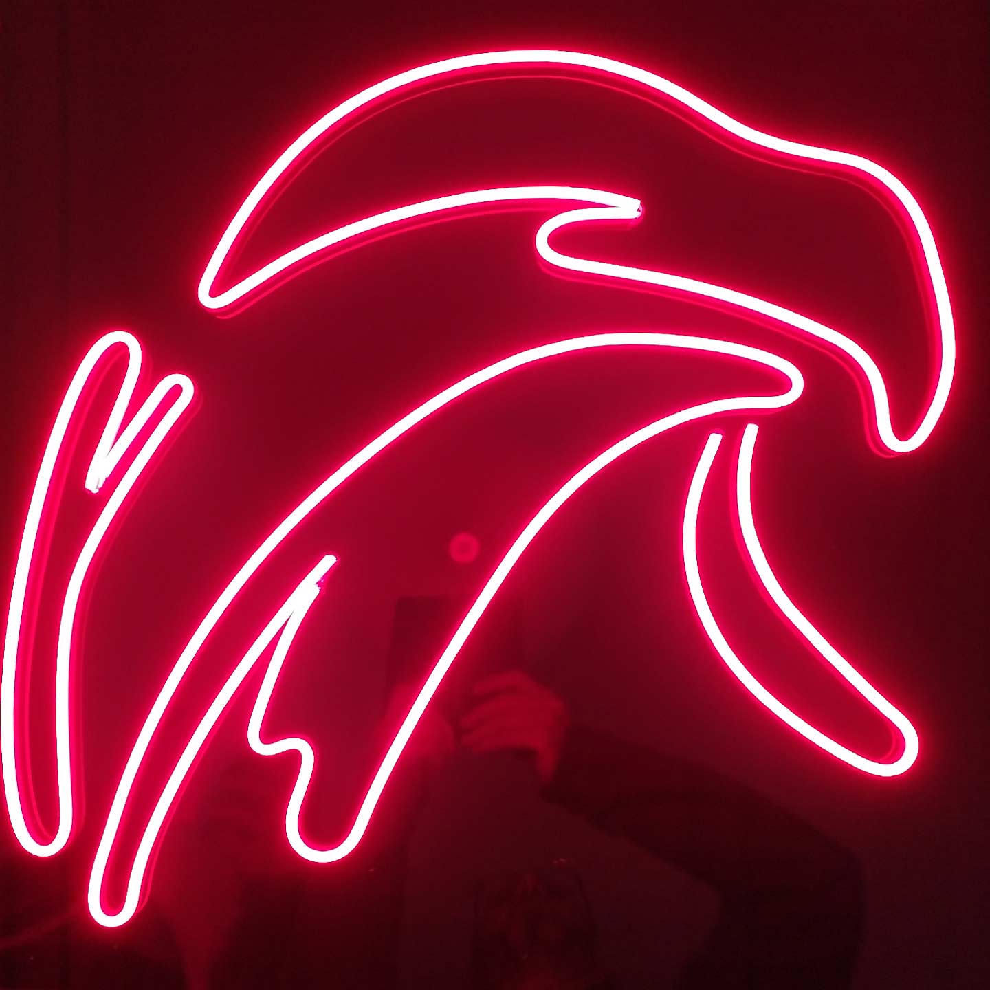 Rótulos luminosos logo El Águila
